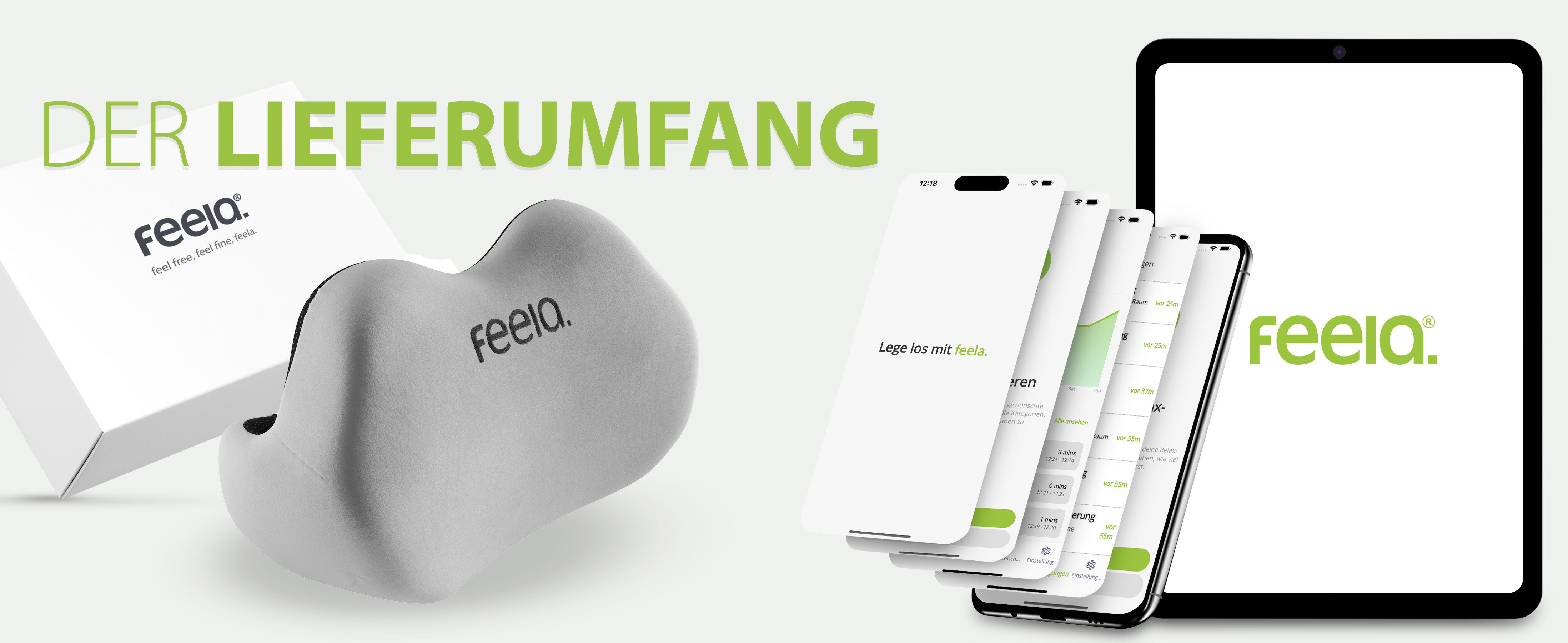 Der Lieferumfang umfasst ein silbernes feela Rückenkissen und eine Verpackung auf grünem Hintergrund mit Text 'Der Lieferumfang', zusätzlich gezeigt sind eine App und ein eBook