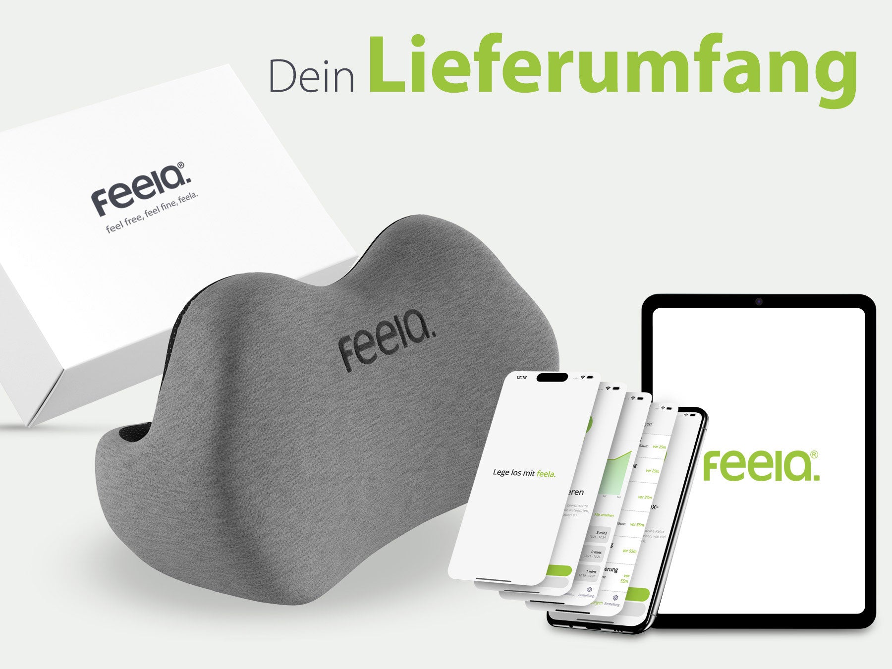 Anzeige des Lieferumfangs von Feela, inklusive einem ergonomischen Rückenkissen und digitalen Extras wie einer App und einem eBook auf verschiedenen Geräten.