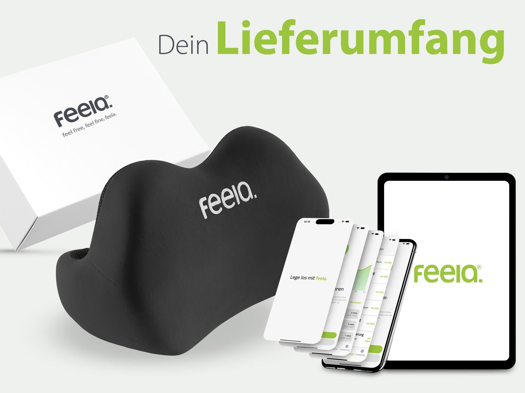 Anzeige des Lieferumfangs von Feela, inklusive einem ergonomischen Rückenkissen und digitalen Extras wie einer App und einem eBook auf verschiedenen Geräten.