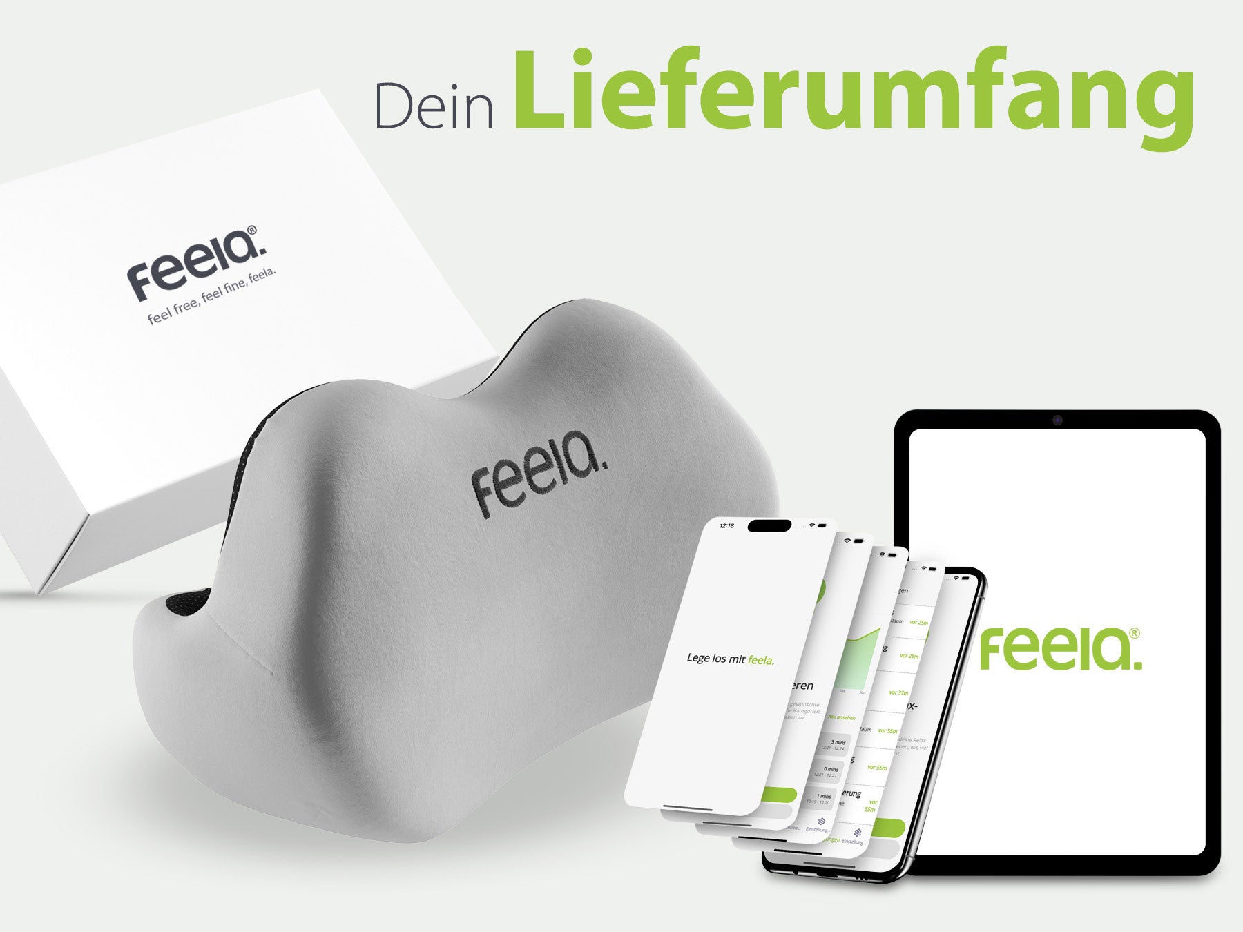 Anzeige des Lieferumfangs von Feela, inklusive einem ergonomischen Rückenkissen und digitalen Extras wie einer App und einem eBook auf verschiedenen Geräten.