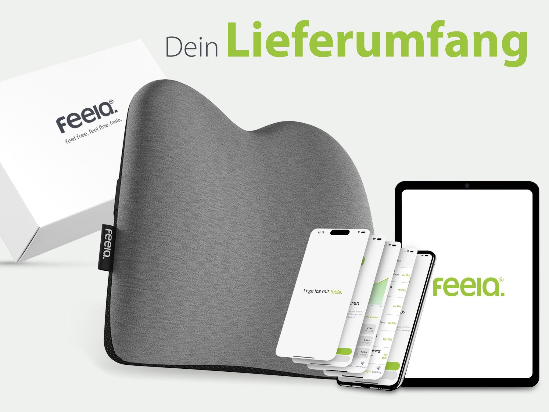 Grafik, die den Lieferumfang des ergonomischen Auto-Rückenkissens von Feelia zeigt, inklusive der Kissen in Grau sowie der dazugehörigen App auf verschiedenen Mobilgeräten.