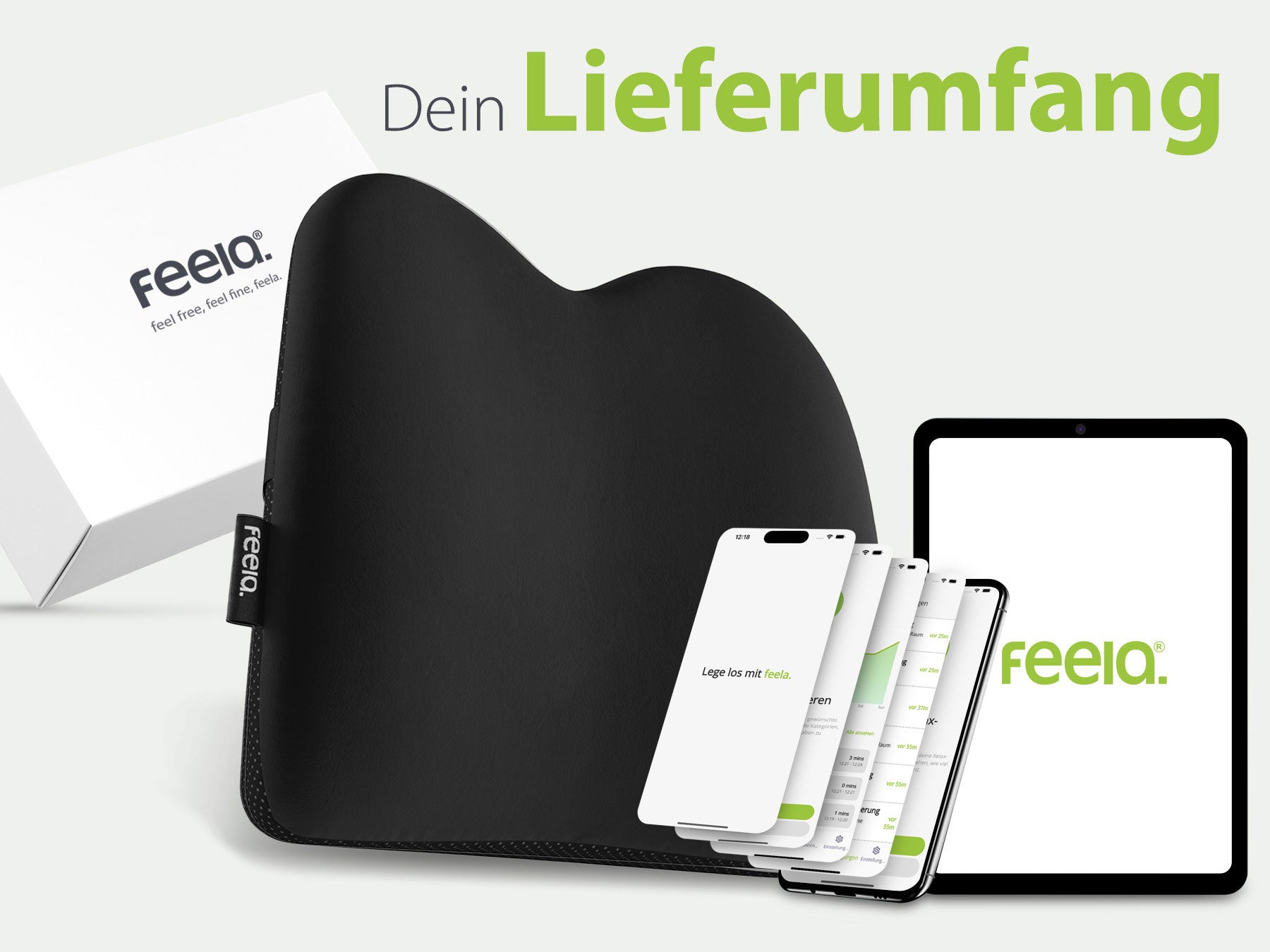 Grafik, die den Lieferumfang des ergonomischen Auto-Rückenkissens von Feelia zeigt, inklusive der Kissen in Schwarz sowie der dazugehörigen App auf verschiedenen Mobilgeräten.