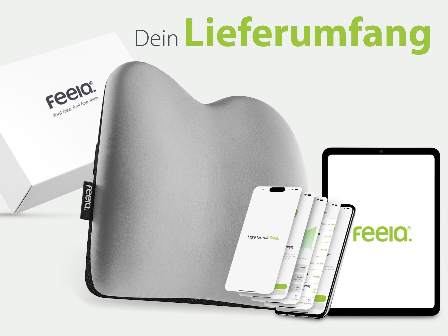 Grafik, die den Lieferumfang des ergonomischen Auto-Rückenkissens von Feelia zeigt, inklusive der Kissen in Silber sowie der dazugehörigen App auf verschiedenen Mobilgeräten.