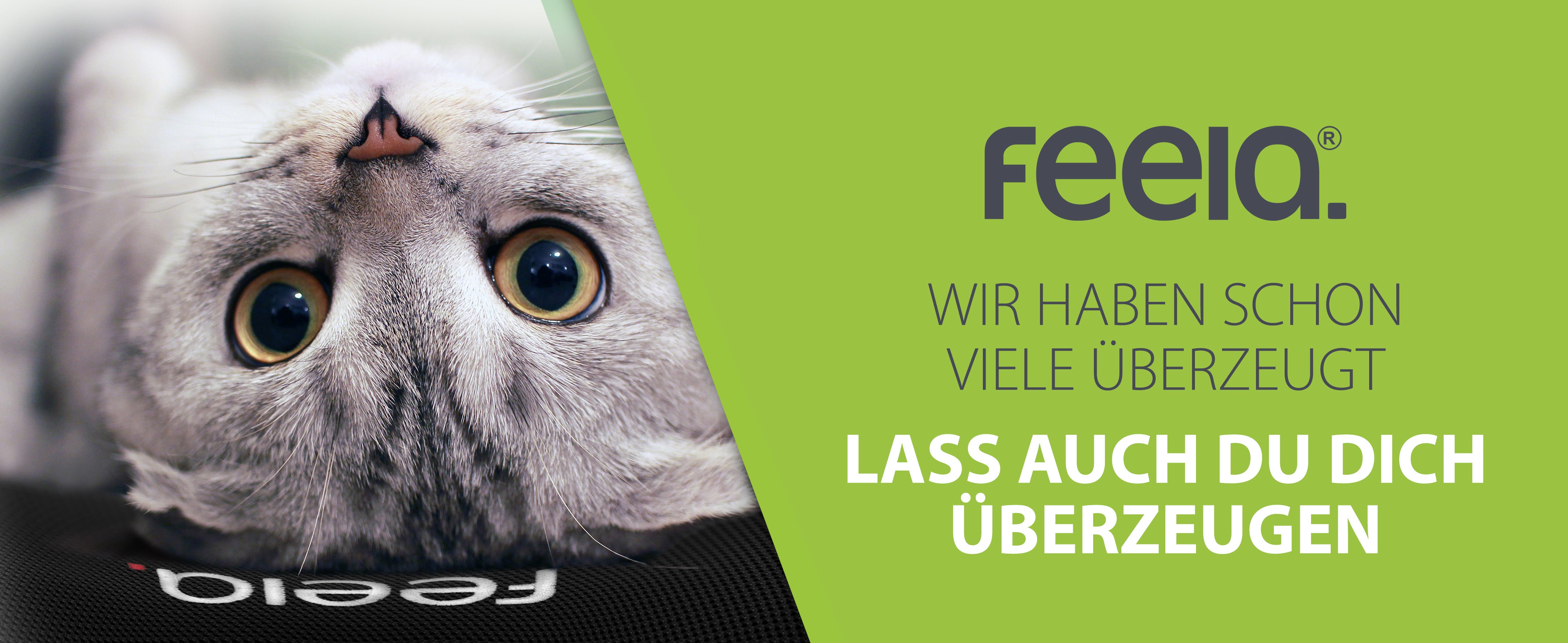 Eine graue Katze liegt auf einem feela Rückenkissen und blickt mit großen Augen in die Kamera, begleitet von den Worten 'Wir haben schon viele überzeugt' und 'Lass auch du dich überzeugen', was für die Vielseitigkeit und Anziehungskraft des Produkts spricht.