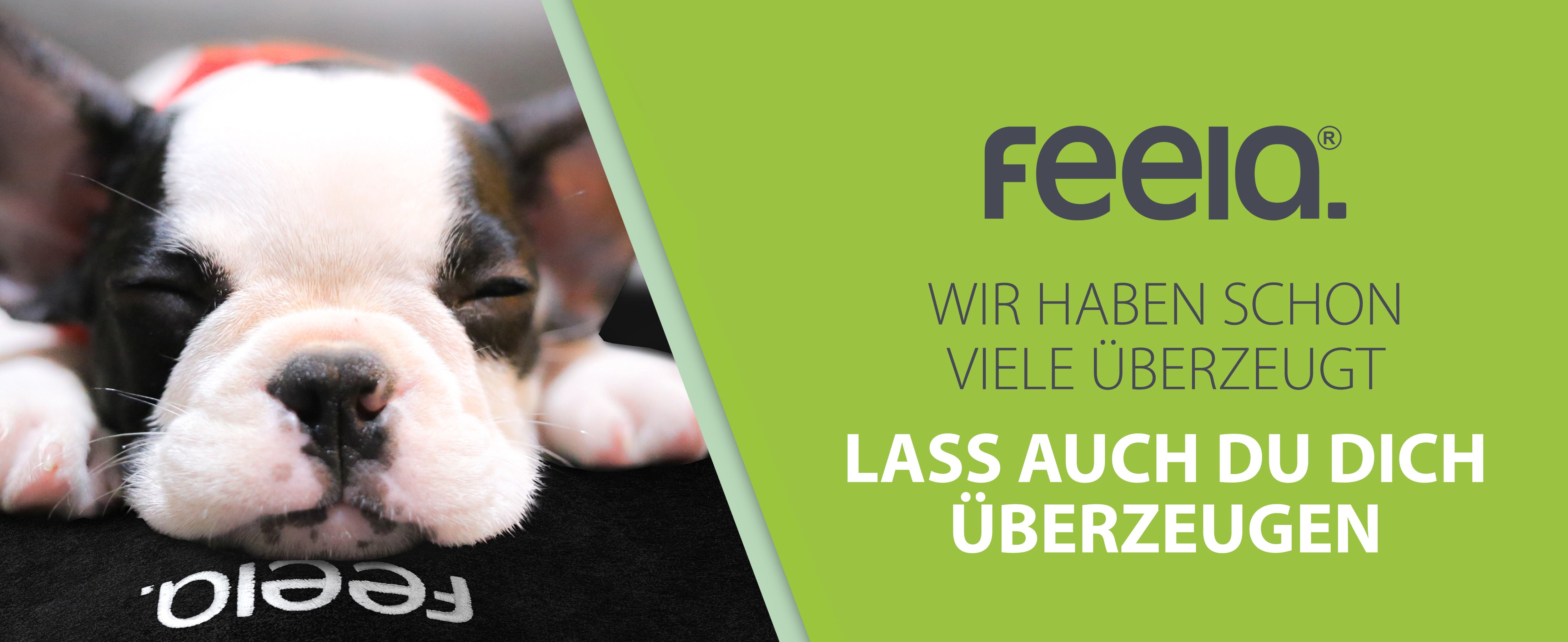 Ein niedlicher Welpe liegt auf einem feela Keilkissen, unterstrichen von der Botschaft 'Wir haben schon viele überzeugt' und der Aufforderung 'Lass auch du dich überzeugen', was die breite Zufriedenheit der Kunden symbolisiert.