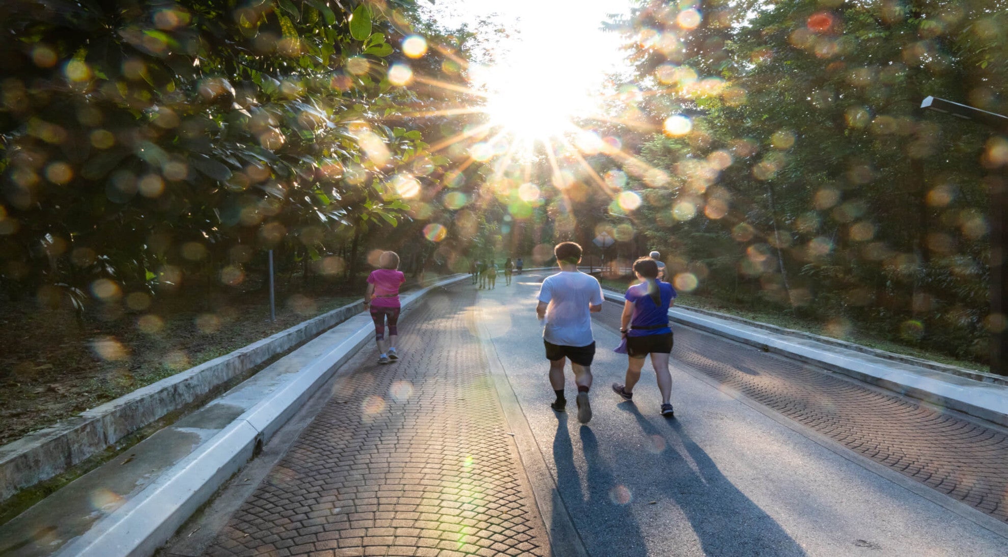 Vitamin D – für mehr Lebensenergie im Alltag | feela.®