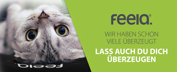 Ein schwarzes orthopädisches Auto-Rückenkissen von feela mit einem BASF Memory Foam-Tag und Zertifizierungen für OEKO-TEX STANDARD 100 und CLIMATE PLEDGE FRIENDLY, was die Qualitäts- und Umweltstandards des Produkts hervorhebt.